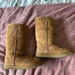 Chestnut Classic Tall Uggs in Great Condition